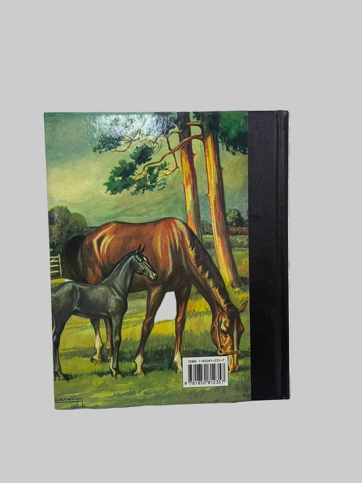 Black Beauty Hardcover – January 1, 1994 by Anna Sewell (Author)