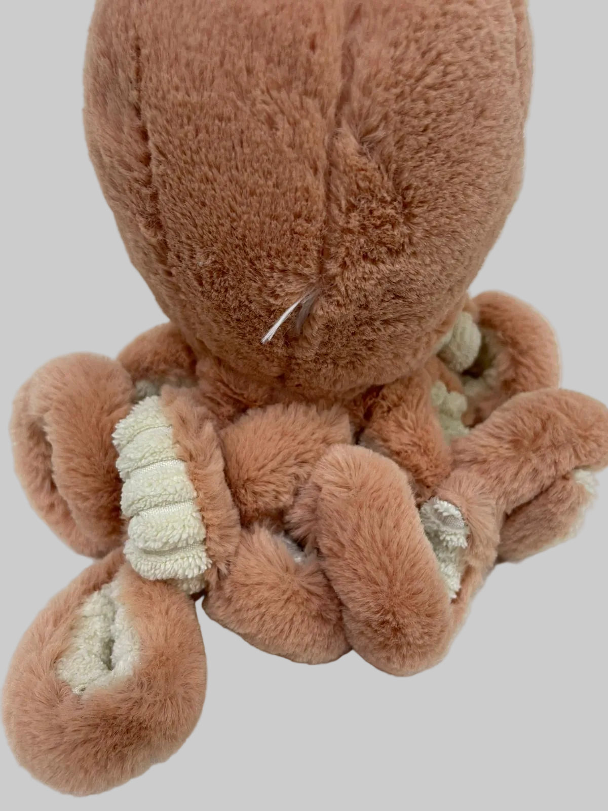 Odell octopus Jelly cat Small