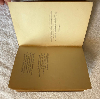 ALICE IN WONDERLAND VINTAGE BOOK 1920