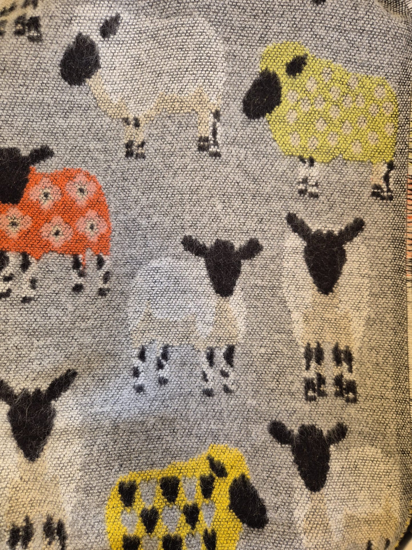 Molina by Jimmy Hourihan Scarf - Charming Sheep Design - New with Tags
