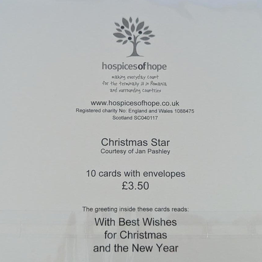 A white postcard from House of Cards, featuring Christmas Star 2024, photographed on a light brown wooden surface inside a clear protective sleeve.