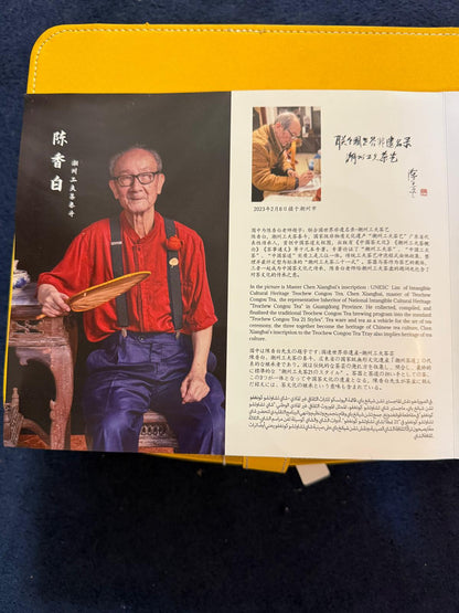 CONGOU Vintage White Ceramic Tea Set - In Case - New & Unused