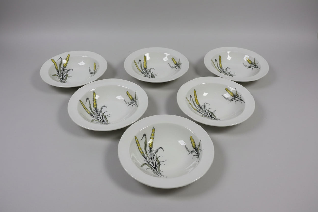 60s Vintage bowl Set x 6 Mid Century Modern British Anchor Glengarry Platter