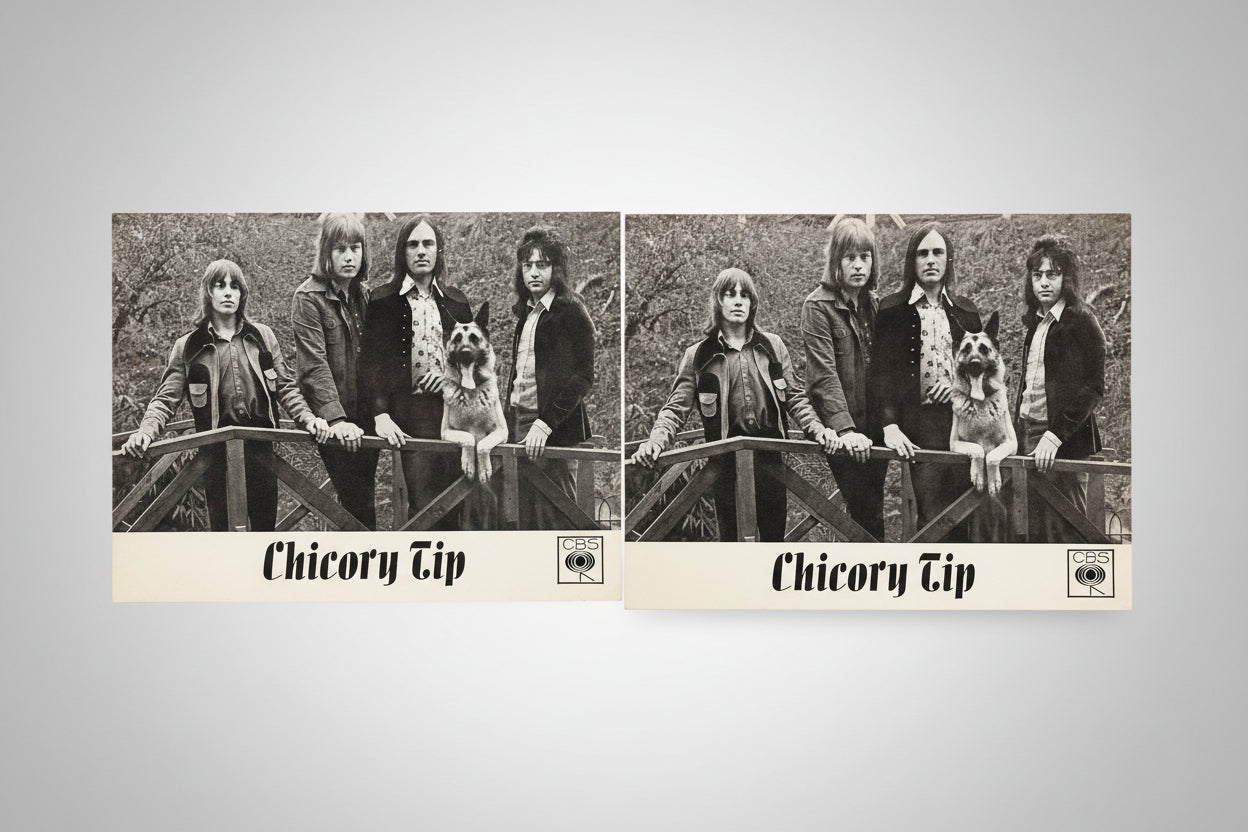 Chicory Tip Signed Poster & Postcards