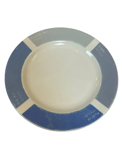 PANTONE UNIVERSE by FISHS EDDY 9" Blue Colour Wheel Plates x 2 (USED)