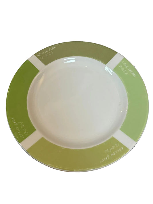 PANTONE UNIVERSE by FISHS EDDY 9" Green Colour Wheel Plates x 2 (USED)