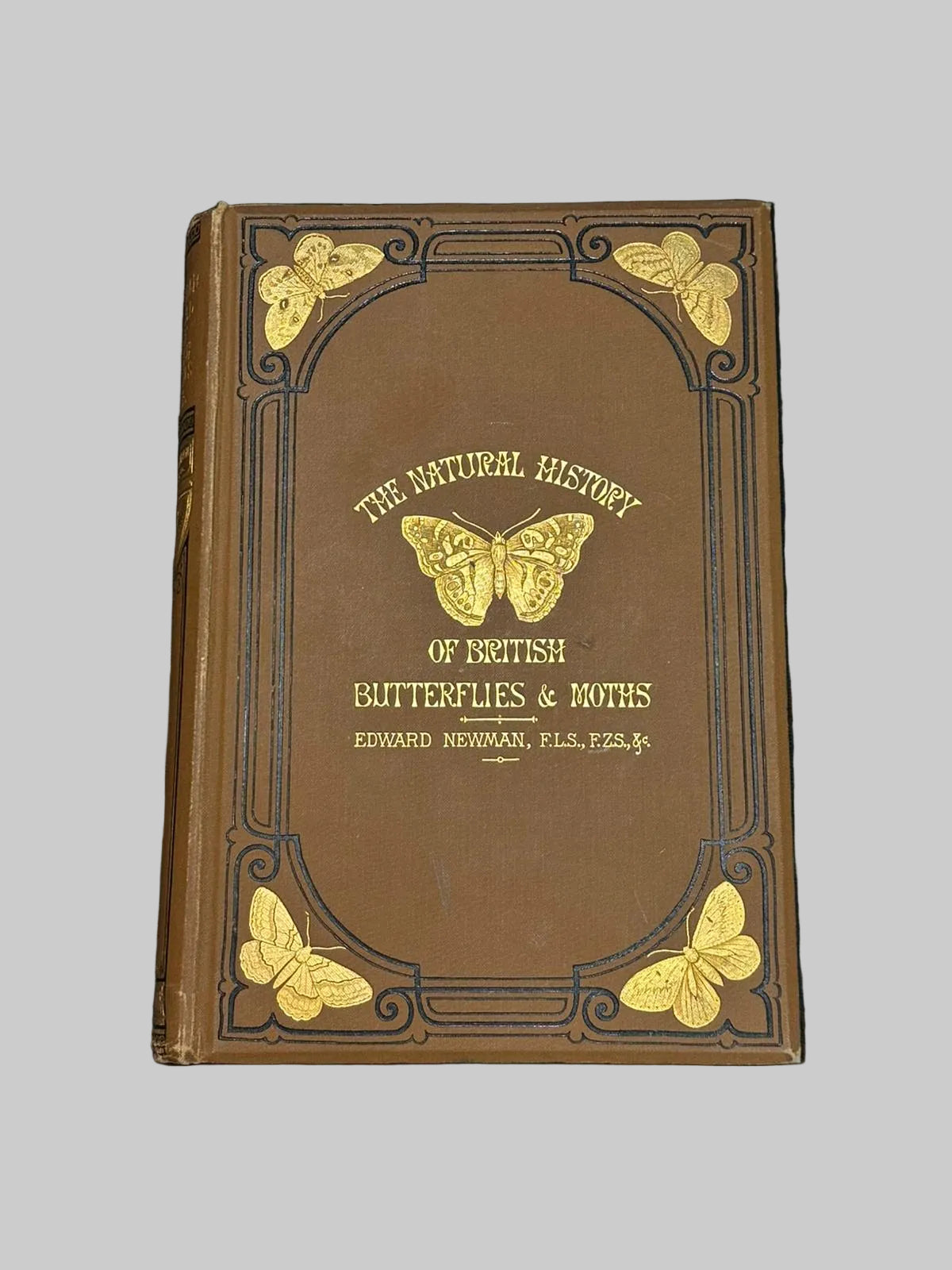 The Natural History Of British Butterflies & Moths by Edward Newman Antique Book