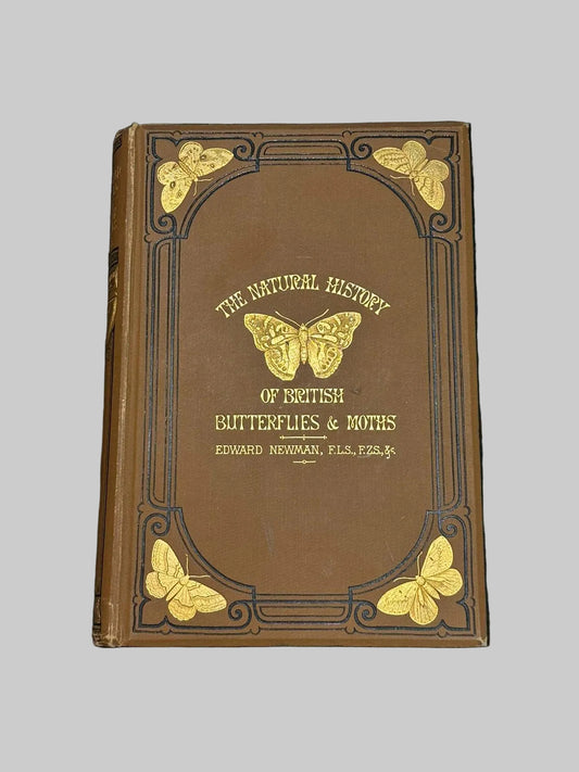 The Natural History Of British Butterflies & Moths by Edward Newman Antique Book