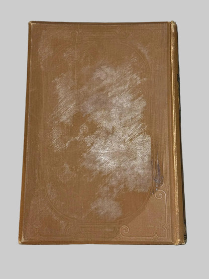 The Natural History Of British Butterflies & Moths by Edward Newman Antique Book