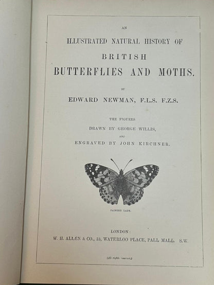 The Natural History Of British Butterflies & Moths by Edward Newman Antique Book