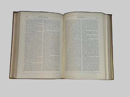 The Natural History Of British Butterflies & Moths by Edward Newman Antique Book