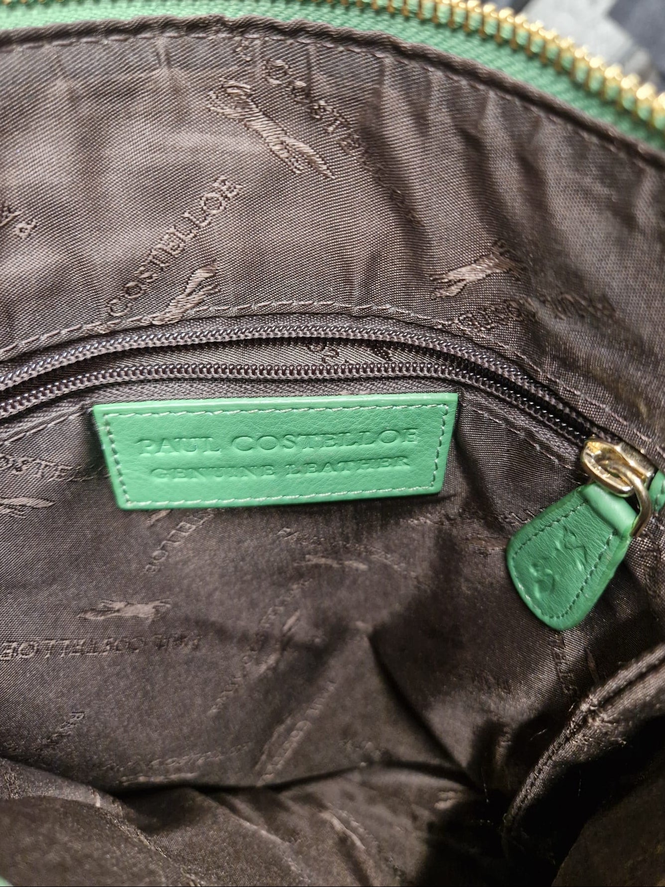 Paul Costelloe Green Leather Crossbody Messenger Bag