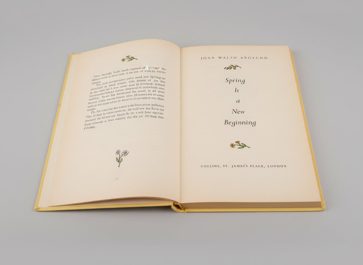 Spring Is a New Beginning by Anglund Joan Walsh Hardback Book