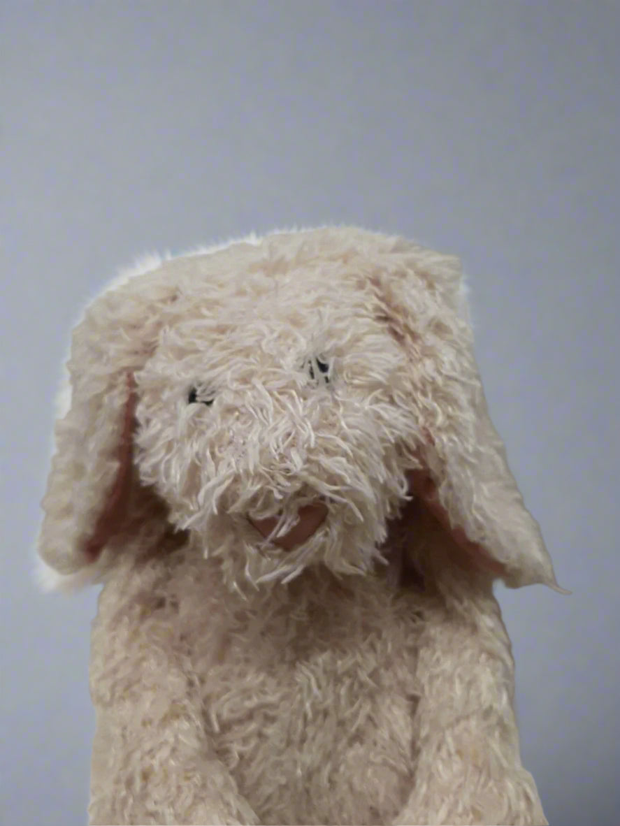 Jellycat Betty Bunny Tot Plush Rabbit Retired Shaggy Soft Pink Beige Toy 18cm