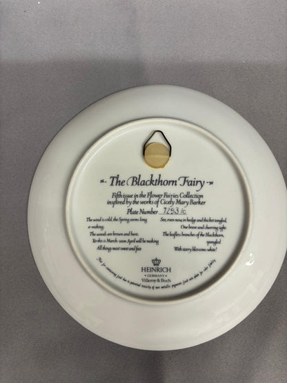HEINRICH Germany - Vileroy & Boch - Job-Lot Bundle 8 x Fairy Plates - Limited Edition